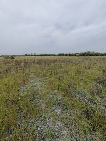 kirayə ev 3 otaq: Kürdəmir, 3000 kv. m, 2 otaqlı, Hovuzsuz, Qaz, İşıq, İnternet — 5