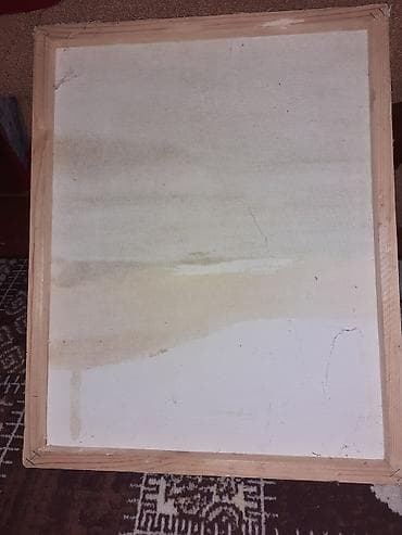 tebii gül sekilleri: Sabirabada resim satlır 20azın — 2