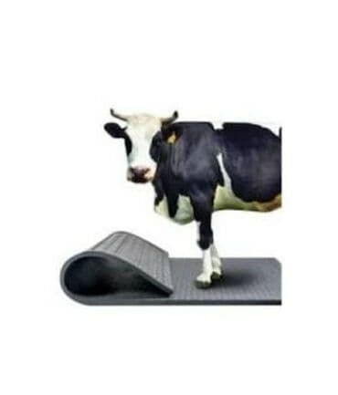 Boşqablar: Heyvan yataklari Heyvan döşəkləri. Türkiyə istehsalı. endirim — 6