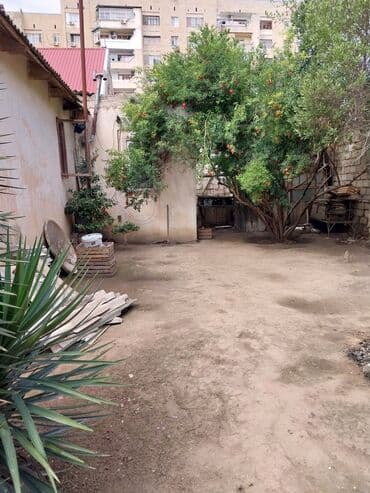 sabuncu qəsəbəsi: 65 sot, Tikinti, Makler, Kupça (Çıxarış) — 2