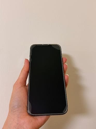 iphone təcili: IPhone 13 Pro Max, 256 GB, Sierra Blue, Face ID — 4