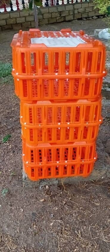 it satışı: Təcili satılır.6 ədədi 240manat — 5