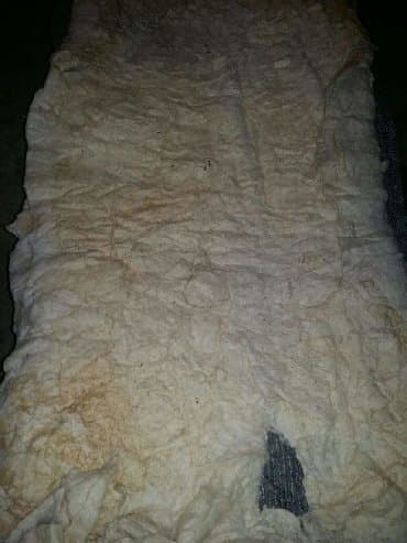 Продукты питания: Pambiq 15 kq - 30 m
Whtsp var — 2