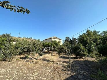 4 sot, Tikinti, Makler, Kupça (Çıxarış) lalafo.az -da 4 sot, Tikinti, Makler, Kupça (Çıxarış)