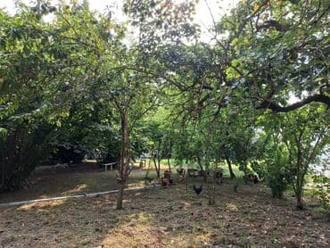 Lincoln: Огуз, 25 м², 1 комната, Газ, Водопровод, Канализация — 2