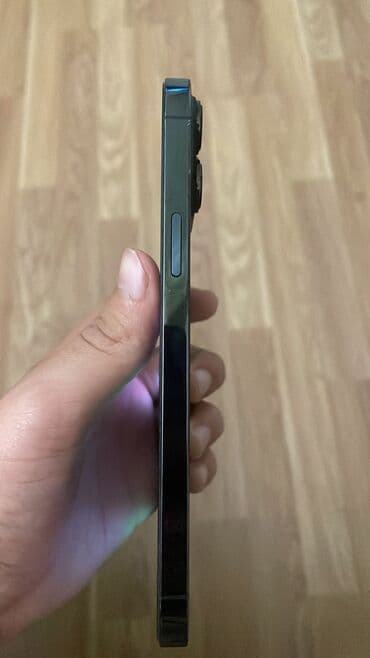 alfon 13 pro max: IPhone 13 Pro Max, 256 GB, Alpine Green — 5