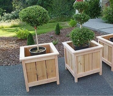 dibcek gullerin qiymeti: Dibçək və dibçək atlıqlarının sifarişlə hazırlanması Qiymət minimum — 10