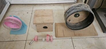 енот в баку купить: Ayın 19 /31 kimi narahat eliyə bilərsiz — 4