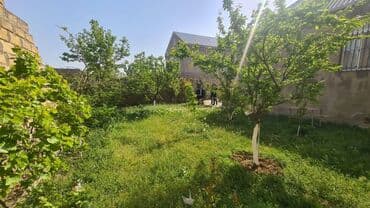 çıxarış nədir: 3 otaqlı, 170 kv. m, Kredit yoxdur, Yeni təmirli — 20