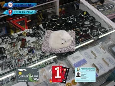 Dekorativ it ag bundan başqa hər növ avtomobi̇l aksessuarlarinin