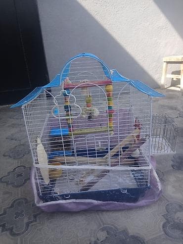Qəfəslər: Iki ədəd böyük qəfəs satılır biri 20 m bütün aksisuarlarıyla birlikdə — 4