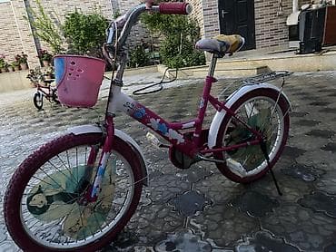 velosiped alan: Uşaq velosipedi – 20” təkərlər, qızlar üçün dizayn - Rəng — 1