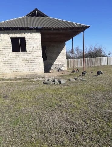 ucuz həyət evləri 2022: 3 otaqlı, 100 kv. m, Kredit yoxdur, Təmirsiz — 5