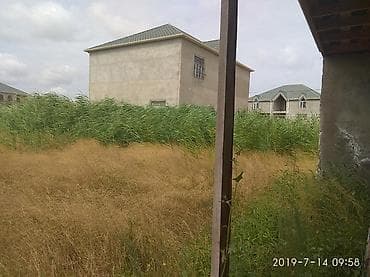 7 sot, Mülkiyyətçi, Kupça (Çıxarış) — 2