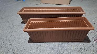 ev gulleri ve adları: Fərqli dizayn fərqli qiymət gül qabları — 10