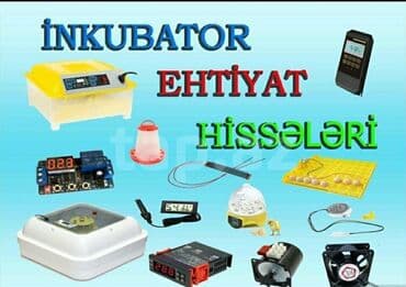 Avtomobil akkumulator zaryadkalari: İnkubator və ferma avadanlaqlari̇ inqubator yem qabi və su qabi