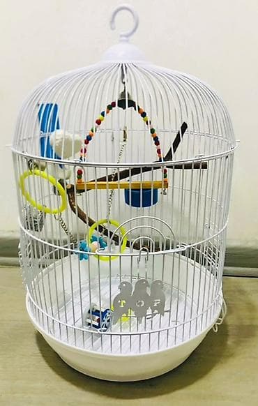 Ağ rəngli dairəvi quş qəfəsi - Asma üçün yuxarıda möhkəm qarmaq -