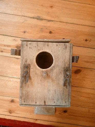 qəfəs: Quş qəfəsi və aksesuarları boyuk qefes iki qus (disi erkek) mirallari — 3