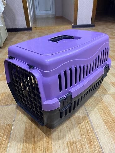 it wekilleri: Bənövşəyi və qara rənglərdə olan bu möhkəm plastik heyvan daşıyıcısı — 2