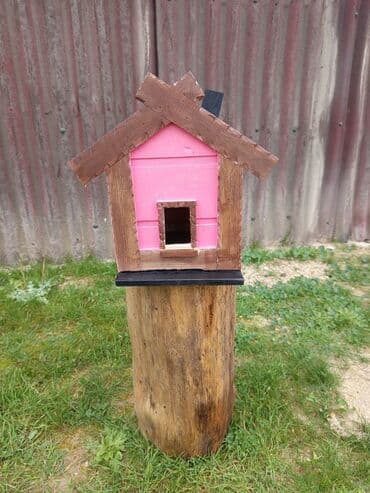 dibcək gulu: Quş yuvalari — 5