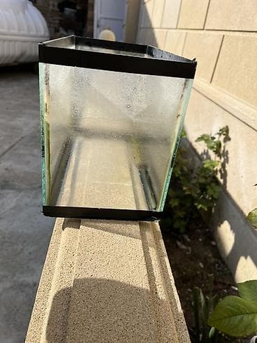 100 l akvarium: Akvaryum dəsti - Şüşə akvaryum: düzbucaqlı forma, şüşə divarlar və — 1