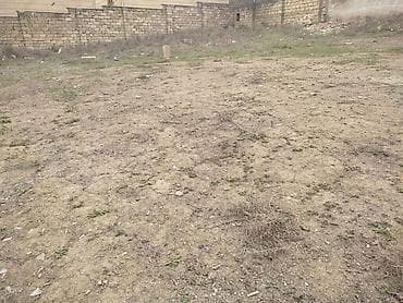 Дачи: 6 соток — 6