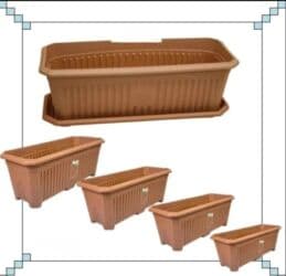 kaybolan yıllar 50: Dibcek Dibcek qabi yumru aq rengli gul.qabi yumru aq rengli dibcek — 26