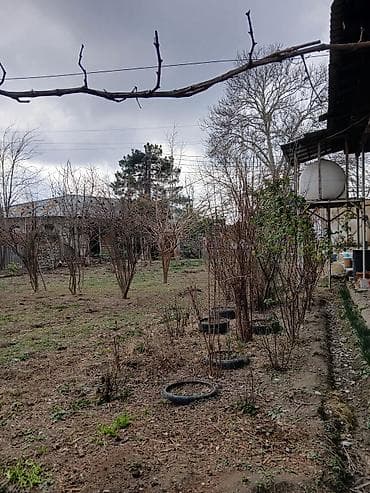 долгосрочная аренда земли: Biznes üçün, Qaz, İşıq, Su — 8