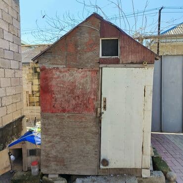 pişik yuvası: Salam Aleykum Quşxana satılır istəyən olsa əlaqə saxlasın .hündürlük — 12