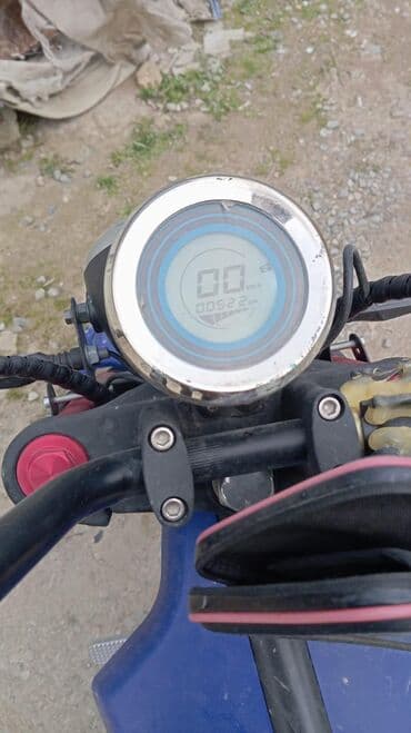 mataskl: - MINGO, 50 sm3, 2024 il, 52 km — 4