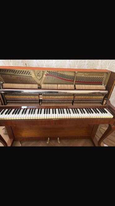 Lincoln: Пианино, Petrof, Акустический, Б/у, Бесплатная доставка — 2