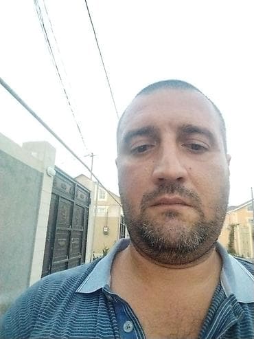 ucuz ev iti: Koker spaniyel, 2 il, Dişi, Ünvandan götürmə — 4