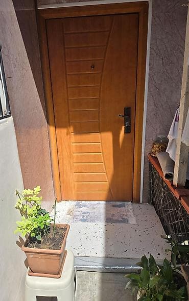 zaqatala hovuzlu ev: 3 otaqlı, 65 kv. m, Yeni təmirli — 2
