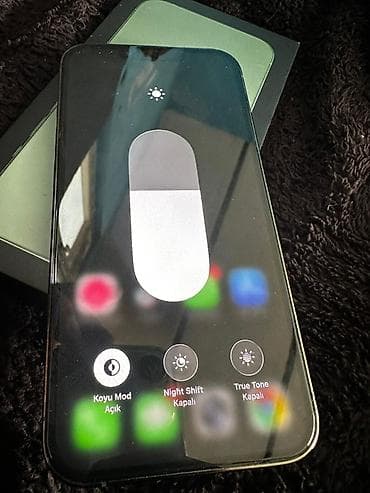 duke nukem playstation 2: IPhone 13 Pro, Alpine Green, Face ID — 9