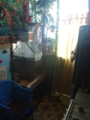 afreyim evler: 46 kv. m, 2 otaqlı, Kombi, İnternet, Qaz — 9