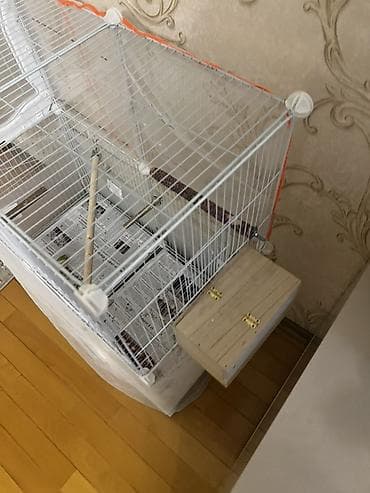 sultan quşu: Quş qəfəsi və aksesuarlar dəsti Məhsul təsviri: - Metal çərçivəli — 4