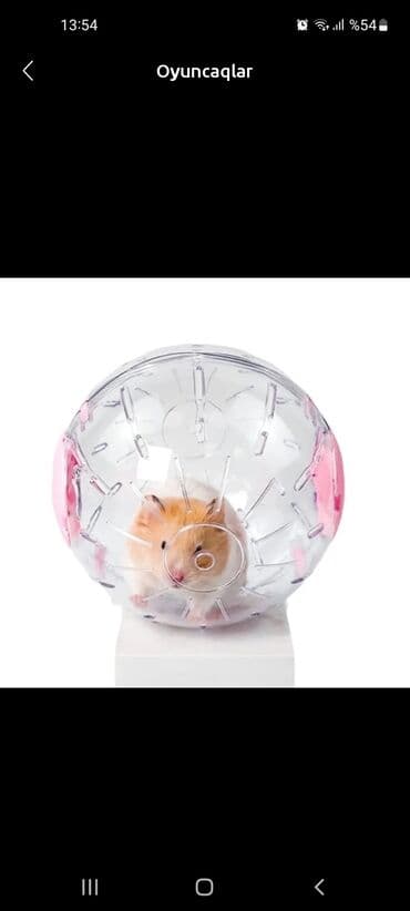 домики для хомяков: Her bir seyi tamdir — 2