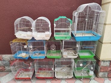 quş qəfəsləri: Quş qəfəsləri – müxtəlif ölçü lü 13 ədəddir. hamısını alana 60manat — 2
