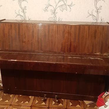 Электротранспорт: Пианино, Акустический, Платная доставка — 2