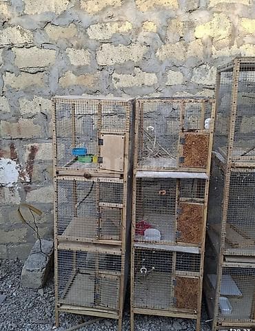 qara mal: Quş qəfəsləri – çoxbölməli taxta-karkaslı konstruksiyalar • Material — 1