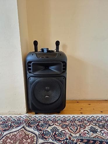 Daşınan karaoke səs sistemi – SIno ZQS1511S - Güclü aktiv akustika — 1
