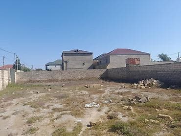 Tikinti