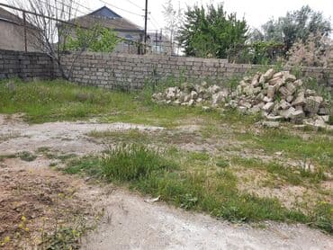 masallı torpaq: Tikinti, Bələdiyyə — 10