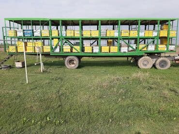 Akvariumlar: Köçəri arıçılıq üçün treylerlər və arıxana kompleksləri Məhsul — 2