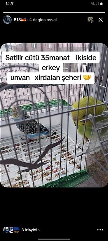 oglan it adlari azerbaycan: Unvan xirdalan şeheri 7 nomreli mekteb cütü 35 manat — 1
