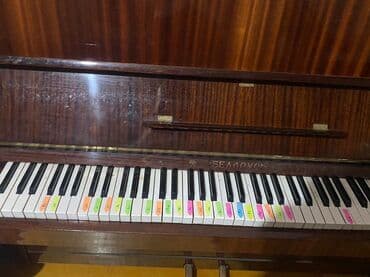 деревянные духовые музыкальные инструменты: Piano, Belarus, Akustik — 4