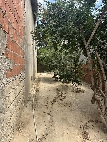 gencede torpaq satilir: 3 otaqlı, 2 kv. m, Kredit yoxdur, Orta təmir — 5