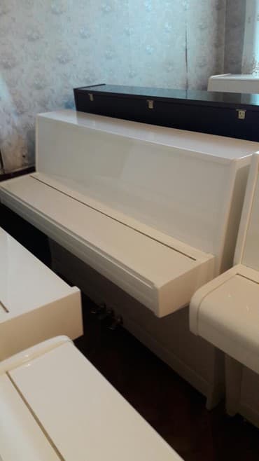 terlan elekberov: Pianino PETROF cexya stehsalı. Ideal vəziyyədə. Cadırılma və — 2