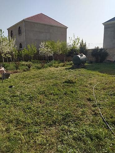 torpaq satşı: 7 sot, Kənd təsərrüfatı, Kupça (Çıxarış) — 1