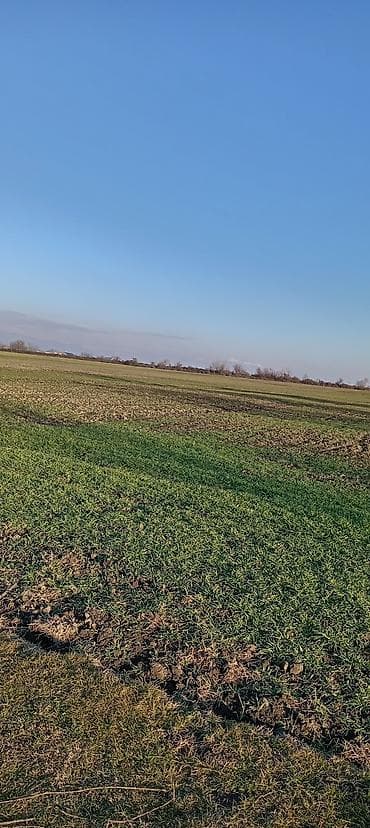 neftciler satilan evler: Kənd təsərrüfatı — 3